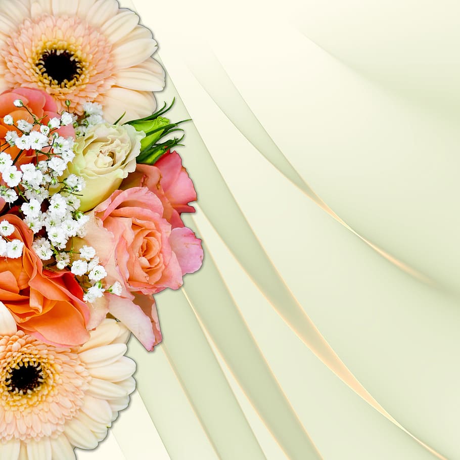 background, fabric, roses, gerbera, gypsophila, wedding, flower, flowering plant, flower arrangement, plant
