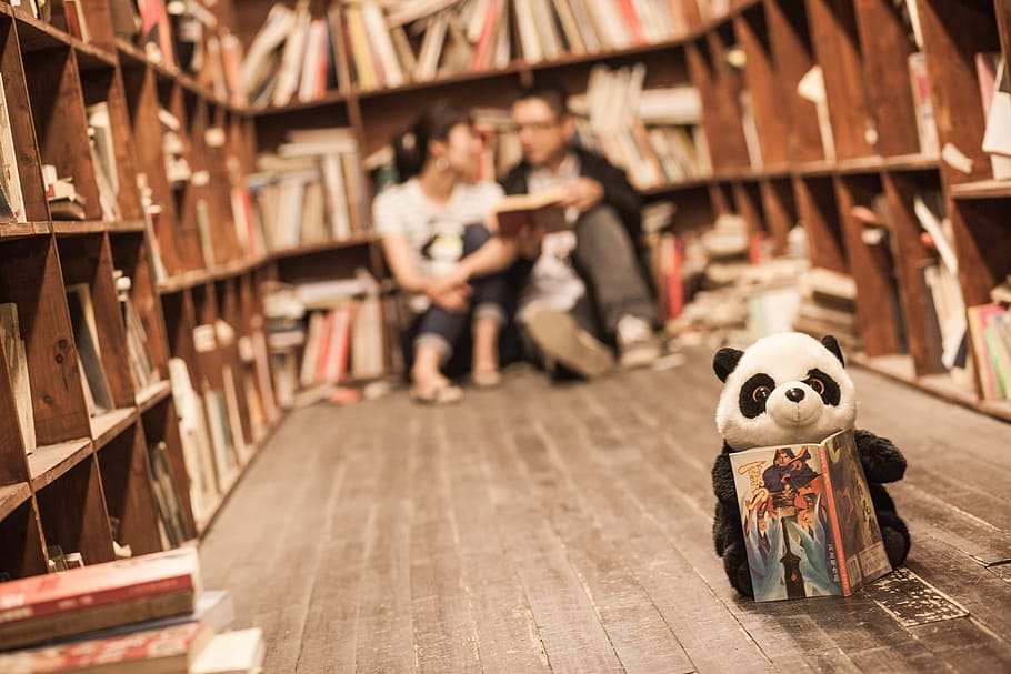 seletivo, fotografia de foco, panda, pelúcia, brinquedo, exploração, livro, frente, dois, pessoa