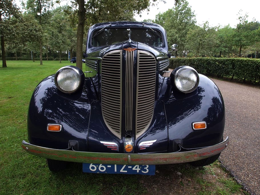 dodge, d8, 1938, car, auto, automobile, close-up, macro, grill headlights, classic