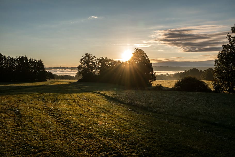 green, grass field, surrounded, tree, daytime, sunrise, fog, clouds, sun, ammersee