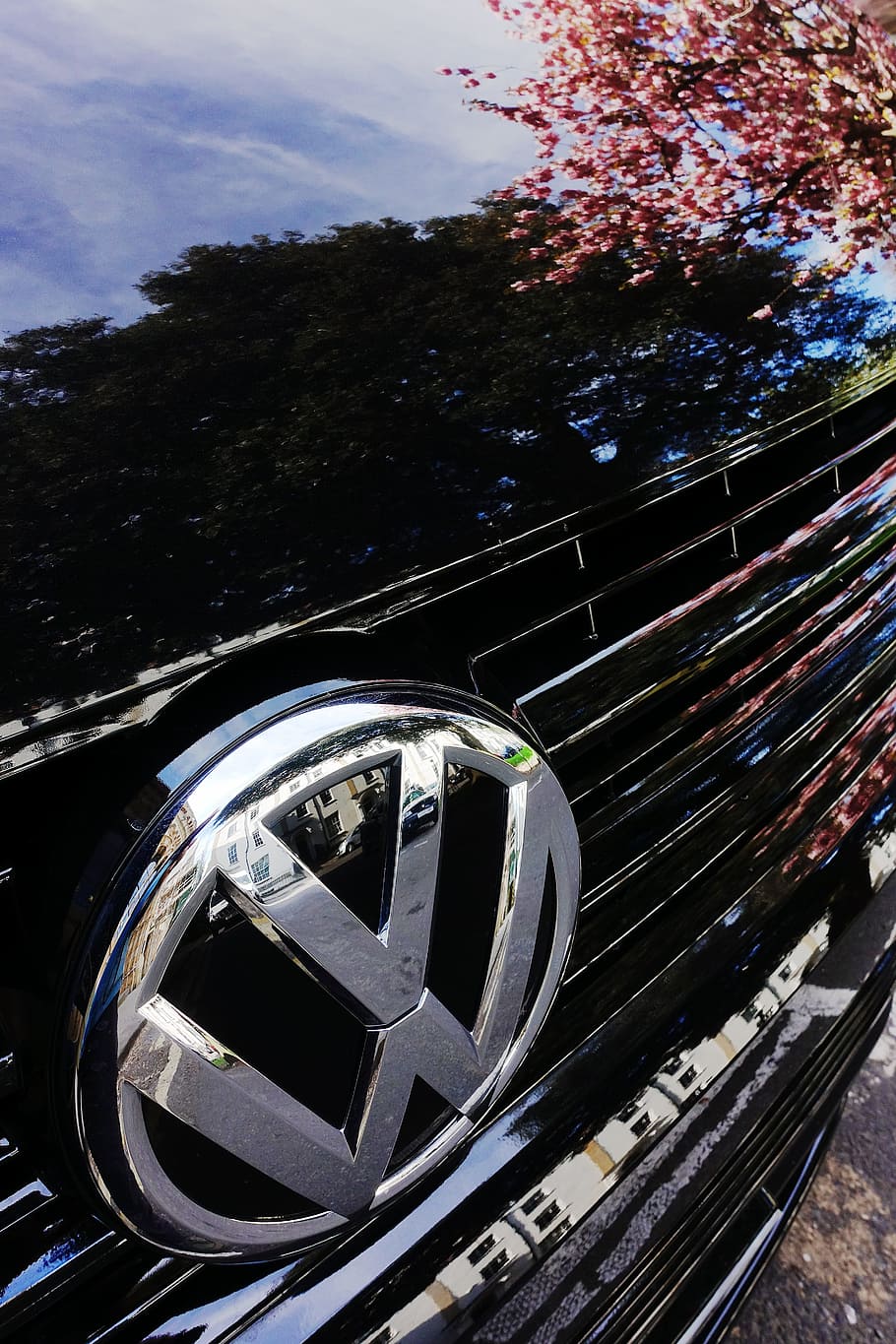 Volkswagen, Vw, insignia, marca, reflexión, negro, cerezo, árbol, flor, primavera