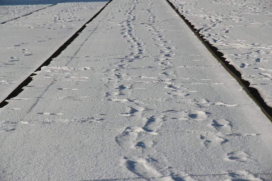 tram tracks, track, rotterdam, snow, winter, high angle view, land, day, footprint, cold temperature