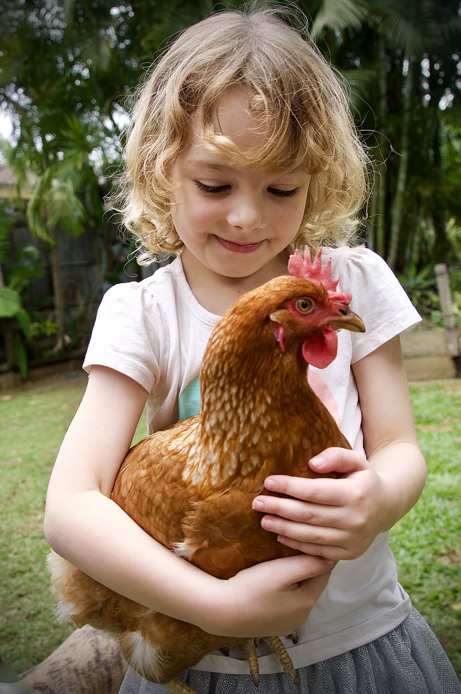 hen, child, sweet, cute, love, fluffy, fowl, chicken, cuddle, adorable