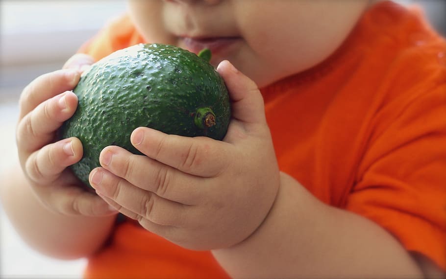 baby, holding, green, fruit, avocado, food, diet, fresh, organic, healthy