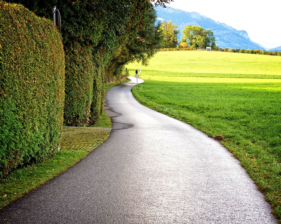 Pathway Green Grass Plants Away Road Lane Nature Meadow Hedge Pxfuel