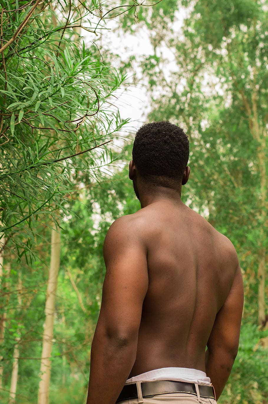 male, man turned back, fashion, model, african, angola, muscular man, man in forest, greenery, rear view
