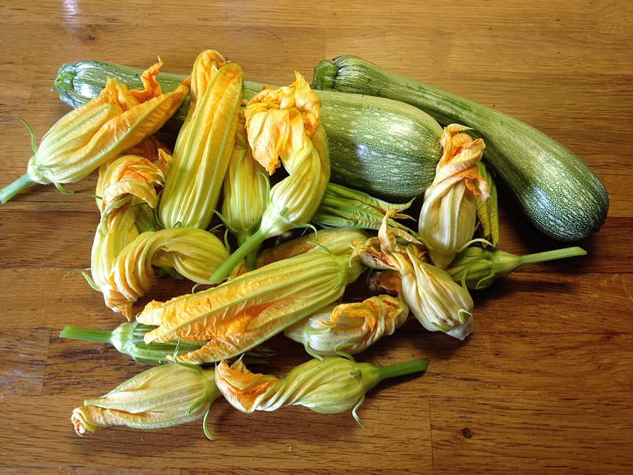 zucchini, zucchini flowers, vegetables, food and drink, food, freshness, healthy eating, vegetable, wellbeing, table