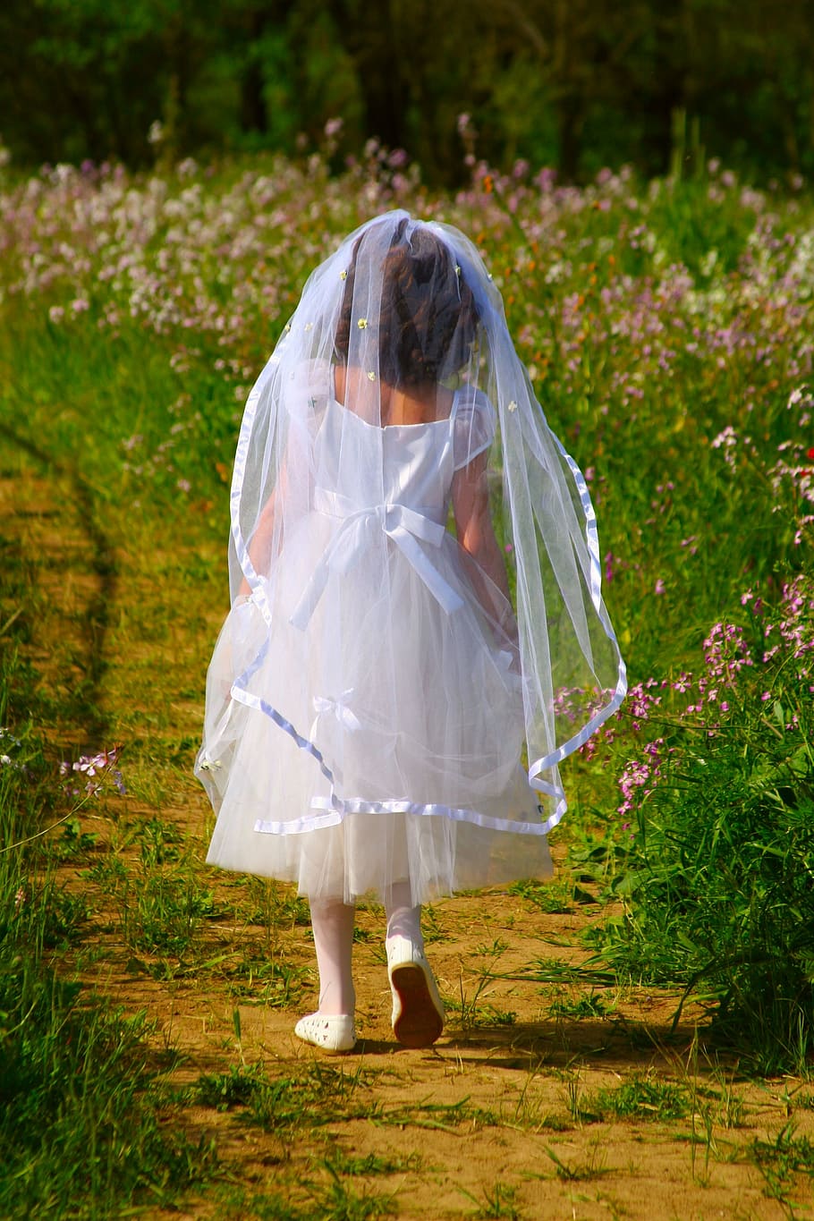 child, wearing, white, dress, walking, surrounded, pink, petaled flower, first holy communion, white dress