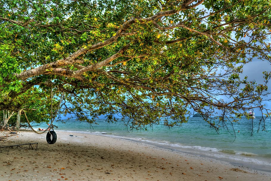 Phuket, Thailand, Phi Phi Island, tire swing, travel, sky, sea, beach, blue, water