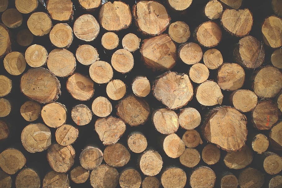 pila de madera, Pila, Madera, madera - Material, marrón, fondos, leña, círculo, madera Industria, registro