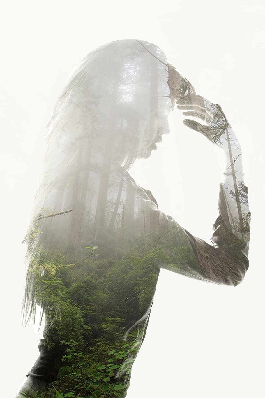 silhouette, woman, background, rain forest, double exposure, photographing, contact, human, exposure, tree
