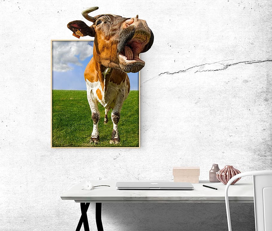 vaca 3, 3d, pintura, pared, escritorio, imagen, vaca, gracioso, oficina, mamífero