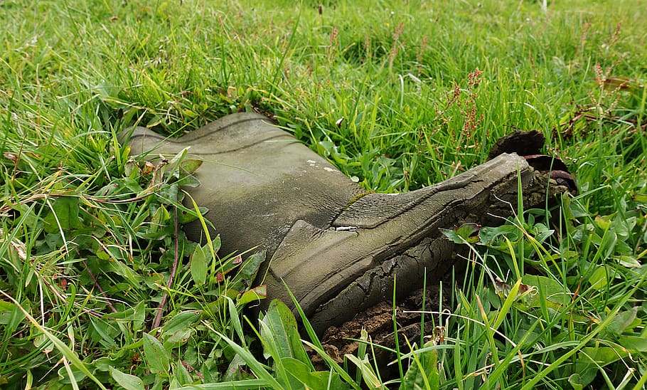 boot, shoe, lost, abandoned, orphan, grass, pasture, sad, left, lonely