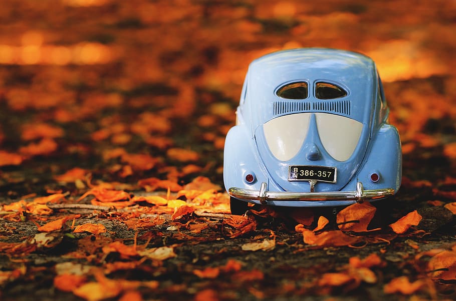 volkswagen, beetle, autumn, path, old, classic, vintage, vehicle, landscape, car