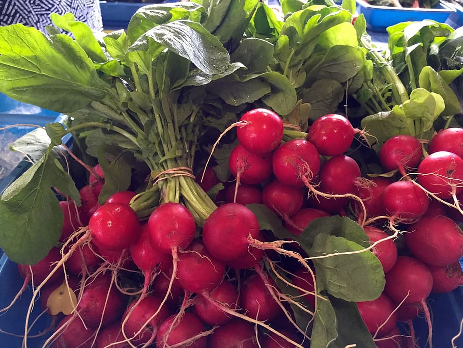 radishes, fresh, market, food, healthy, raw, radish, vegetable, red, agriculture