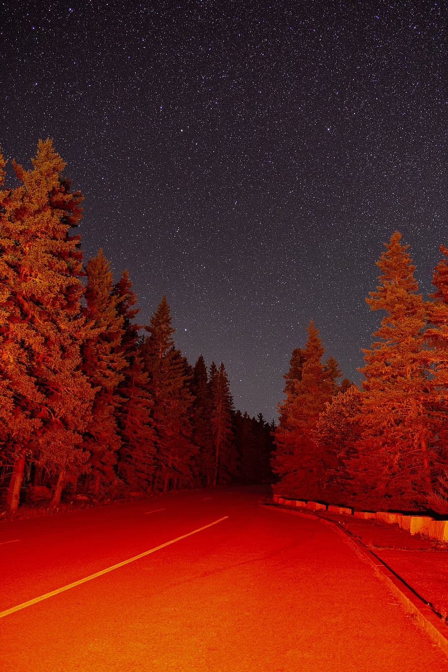 stars, night, trees, sky, nature, outdoors, road, red, light, forest