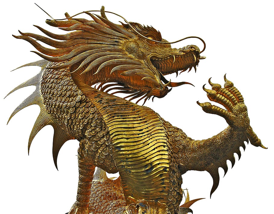 gold-colored dragon statue, sculpture, dragons, golden, isolated, animal, asia, dragon, cultures, animal representation