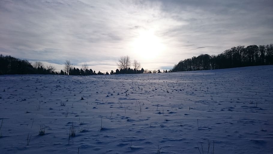 wintry, snow pictures, winter images, winter, snow, winter picture, nature, sun, winter mood, atmospheric