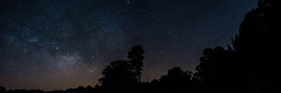 panoramic, trees, daytime, night, stars, milky, way, cosmos, universe, astronomy