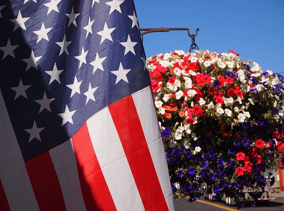 flag, united, states, america, bushes, flowers, labor day, usa, national, red