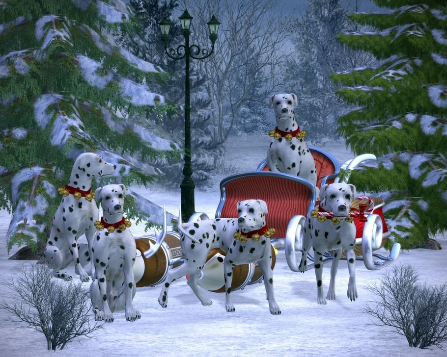 several, pulling, christmas sleigh, Dalmatians, Christmas, Sleigh, 3d, dogs, forest, models