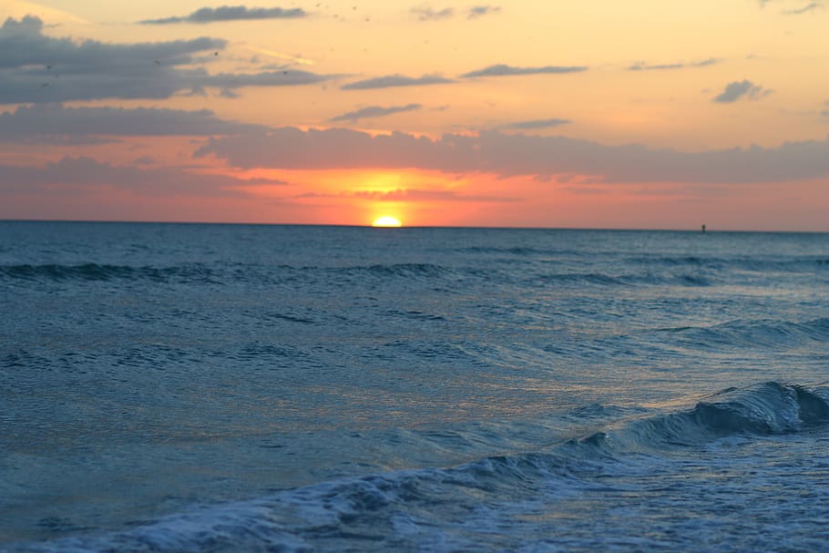 tampa, florida, beach, water, america, tourism, evening, dusk, sky, sunset