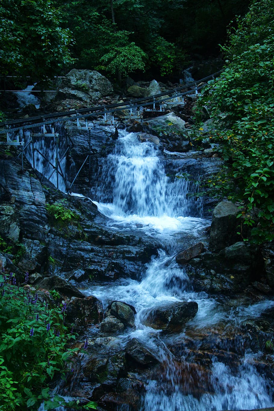 streams, the creek, nature, water, rivers, wave, valley, mountain, landscape, beauty in nature