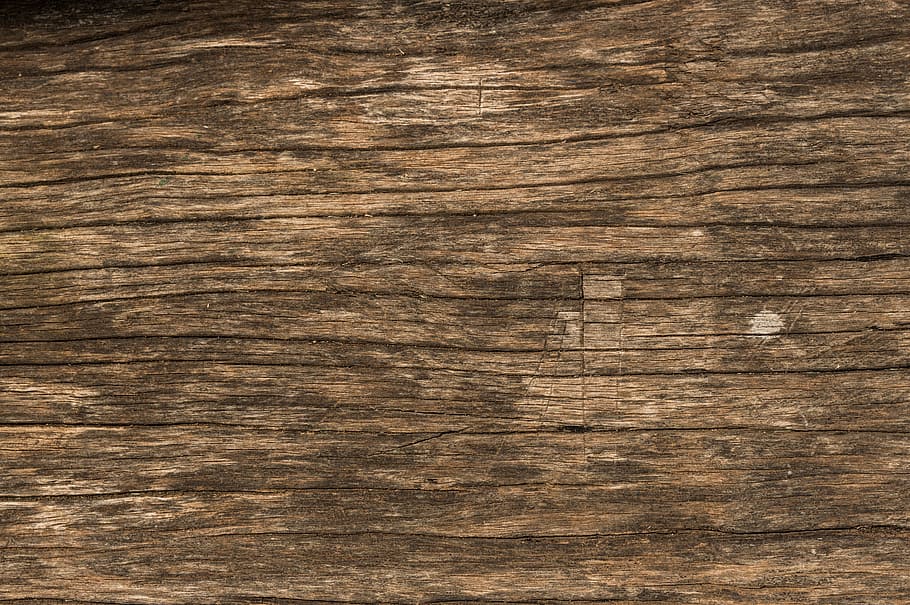 Wood, Texture, Surface, plank, wood - material, textured, hardwood, timber, backgrounds, wood grain