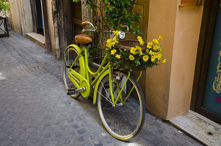 bike, bicycle, flower, basket, outside, architecture, building exterior, city, yellow, plant