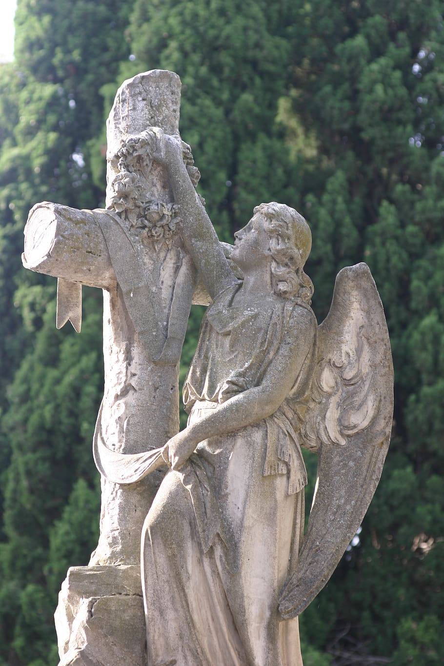 ángel con cruz, cementerio, carmen, valladolid, árbol, escultura, representación, arte y artesanía, representación humana, planta