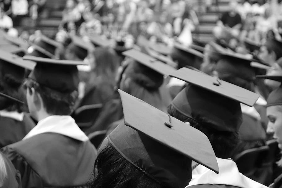 grayscale photo, student, wearing, academic, gowns, graduation cap, graduation, cap, achievement, education