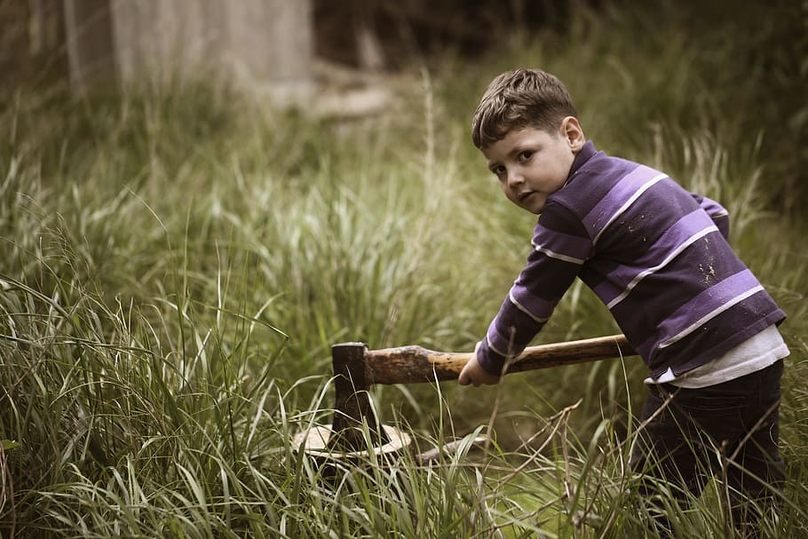 boy, putting, ax, wood, surrounded, green, grass, daytime, child, work