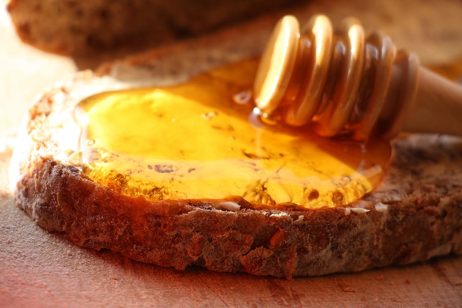 madu di atas meja, pohon cemara madu, roti, sereal, sendok, papan, matahari, bio, alam, sehat