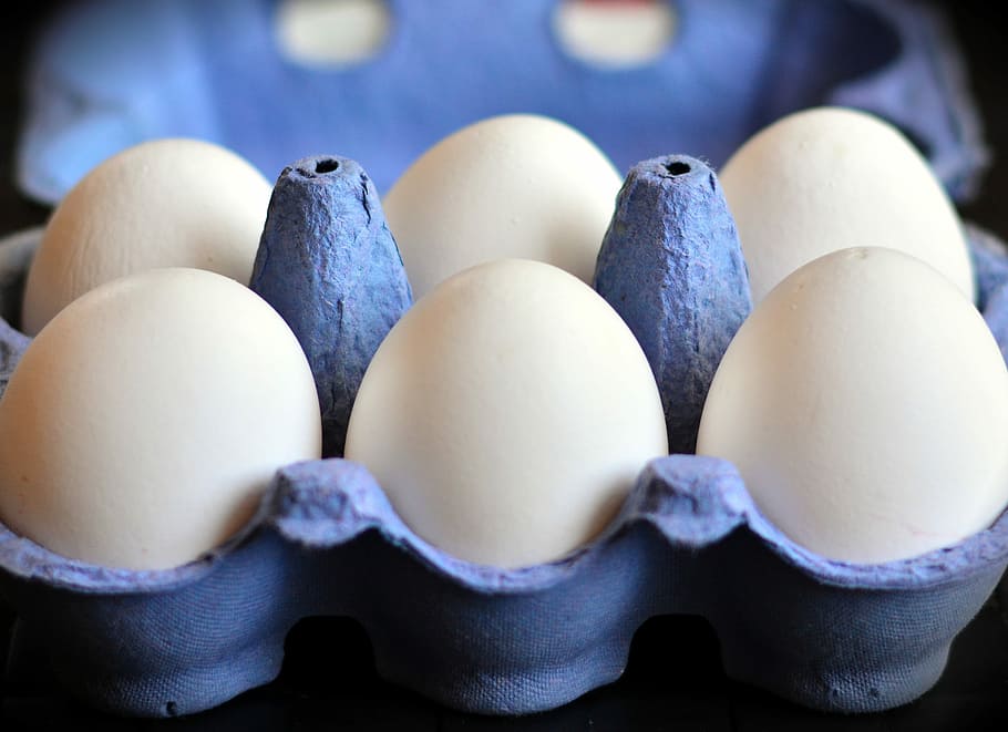 foto de primer plano, seis, blanco, huevo, gris, bandeja de huevos, cartón de huevos, huevos blancos, huevo de gallina, comida