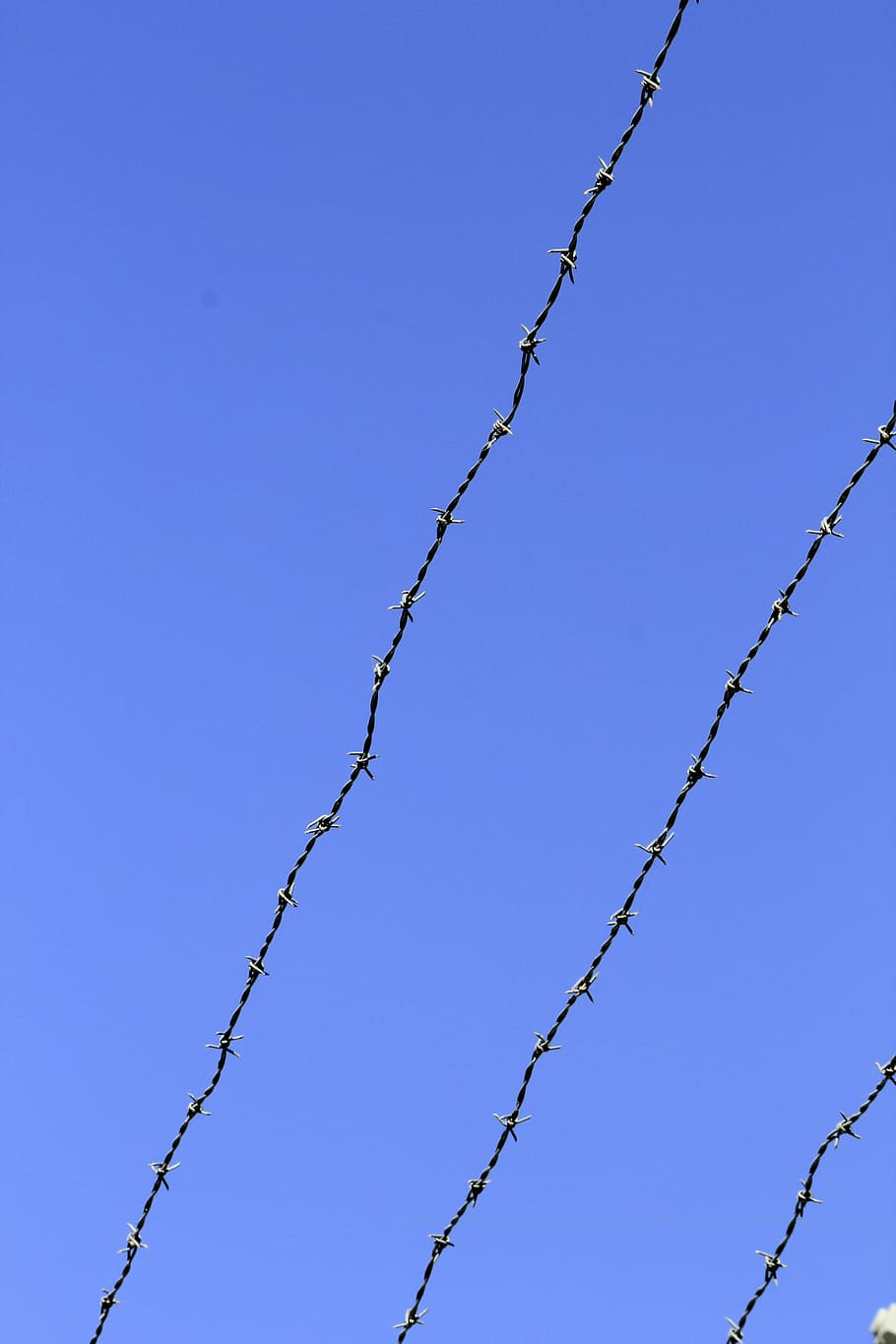 Barb Wire, Barbwire, Fence, wire, security, metal, protection, steel, sharp, prison