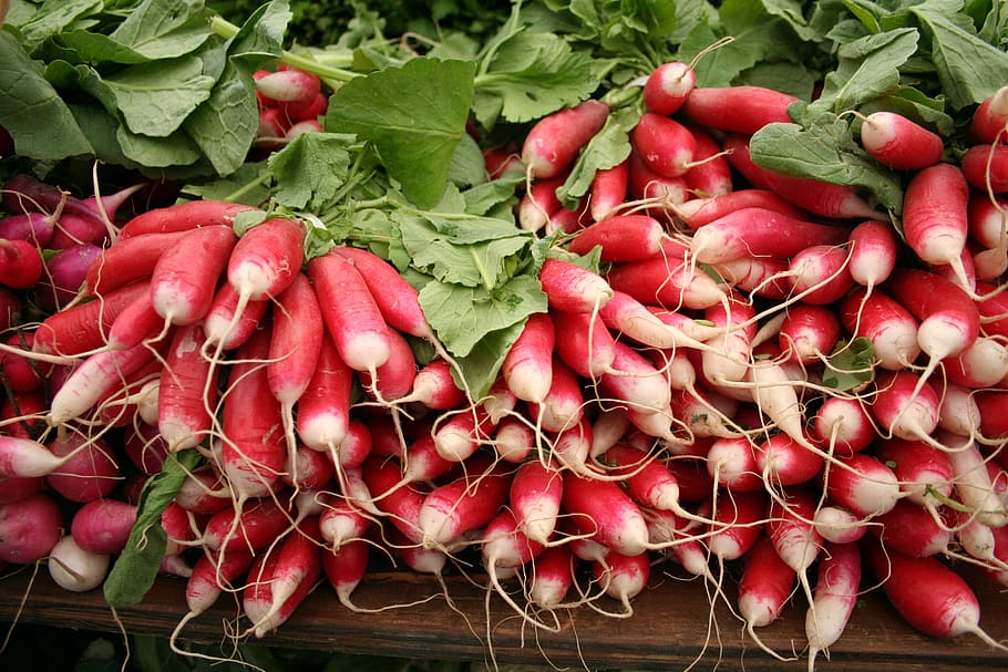 radishes, radish, vegetables, farmers market, farmer, farmers, market, market vegetables, veggies, food and drink