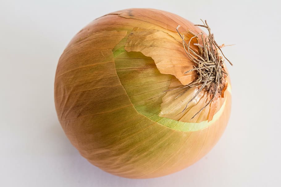 white onion, cream onion, kitchen onion, onions, bolle, gartenzwiebel, sommerzwiebel, house onion, common onion, vegetables