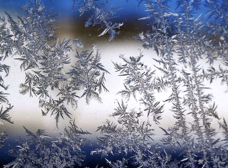 geada no gelo de cristal, floco de neve, geada, vidro, friamente, plano de krupnyj, textura, frio, inverno, neve