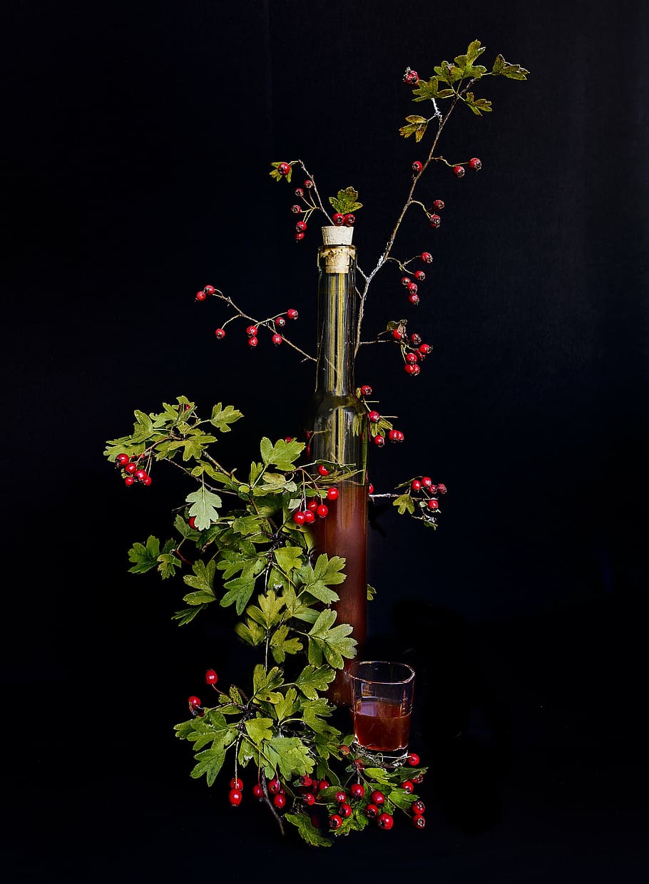 green, red, glass bottle, hawthorn, crataegus, berries, liqueur, still lifes, plant, flower