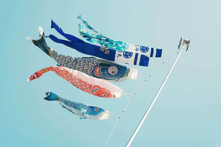 corrigir, bandeiras de peixes koi, pólo, branco, azul, laranja, peixe, decoração, ainda, itens