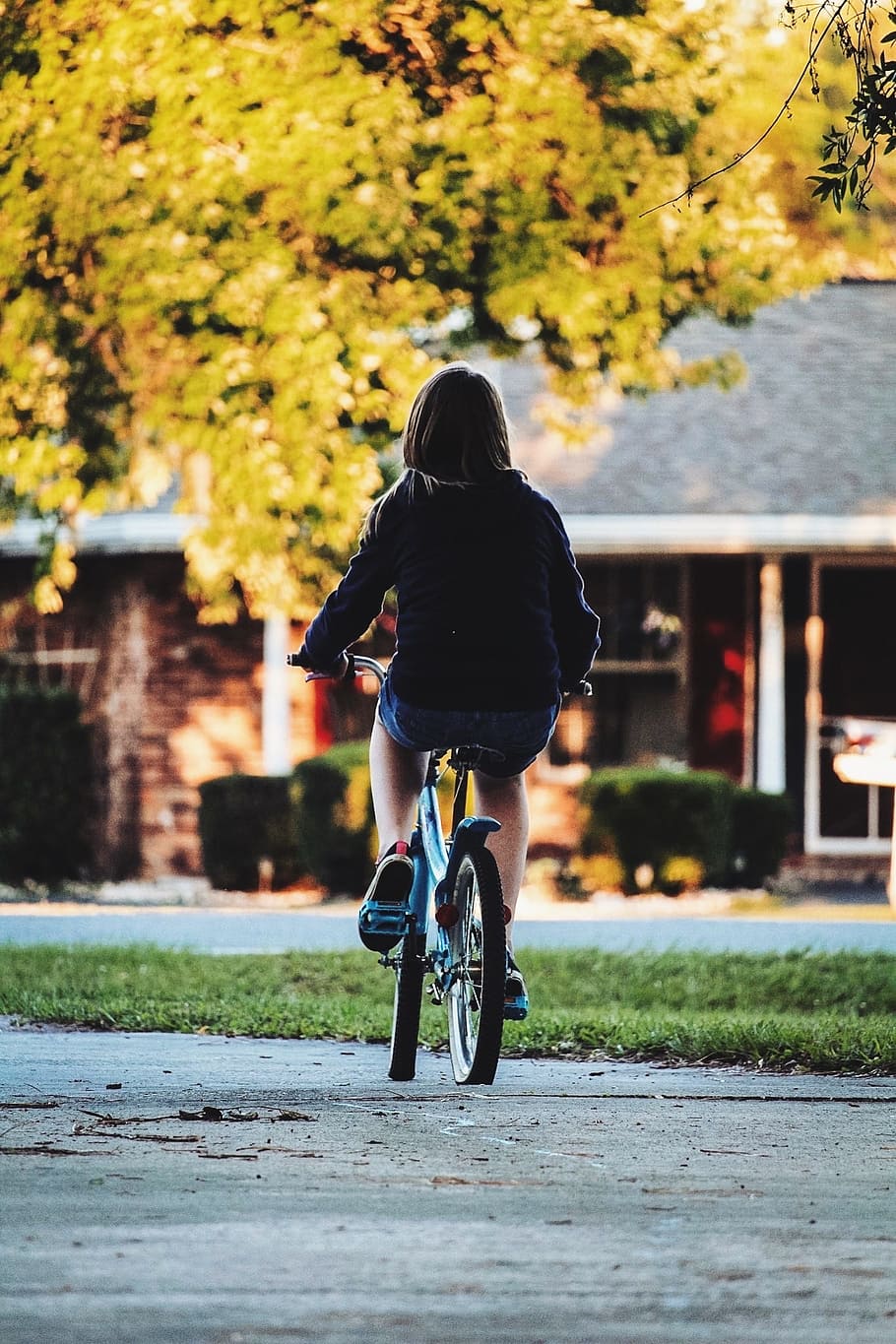 여자 승마 자전거, 타기, 주기, 자전거, 아이, 어린 시절, 이웃, 집, 가을, 까마귀