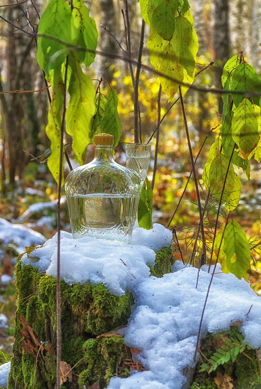 Snow, Still Life, Forest, Trees, autumn, melting snow, melancholia, glass, decanter, nature