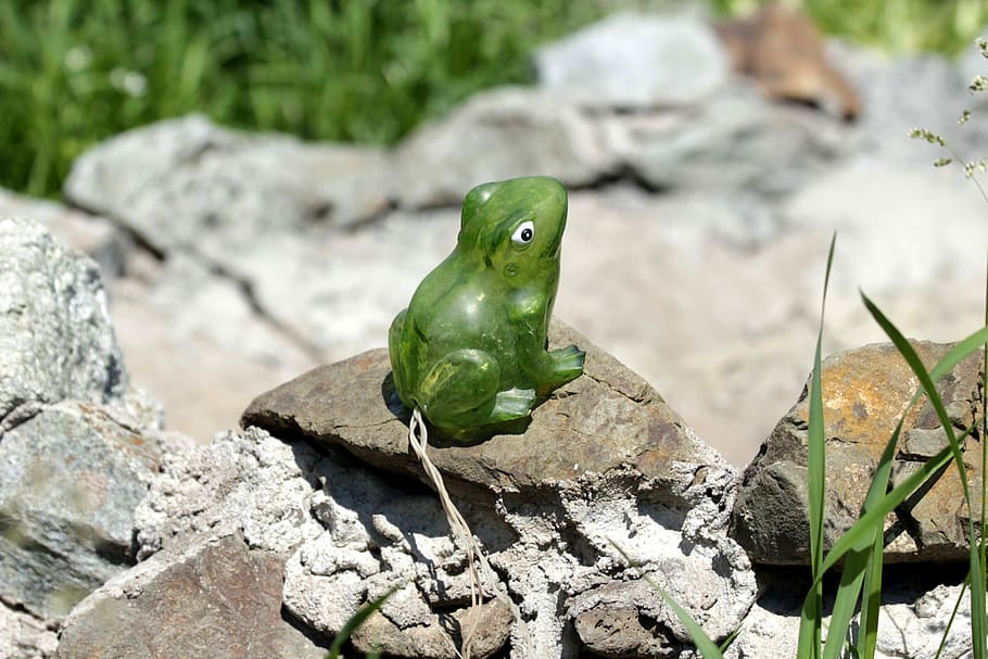 Frog Stone Amphibian Toy Ornament Garden Closeup Animals