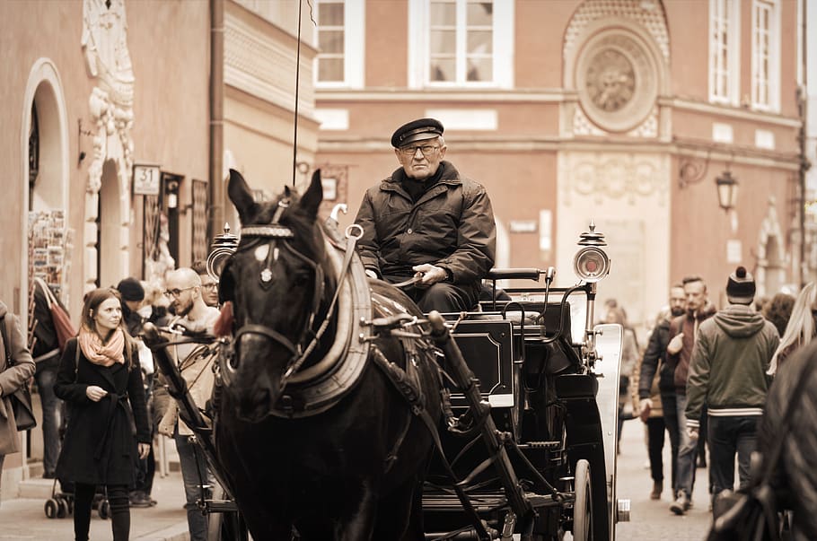 Возница. Кучер. Кучер на лошади. Кучер возница. Возница на Ямских лошадях.