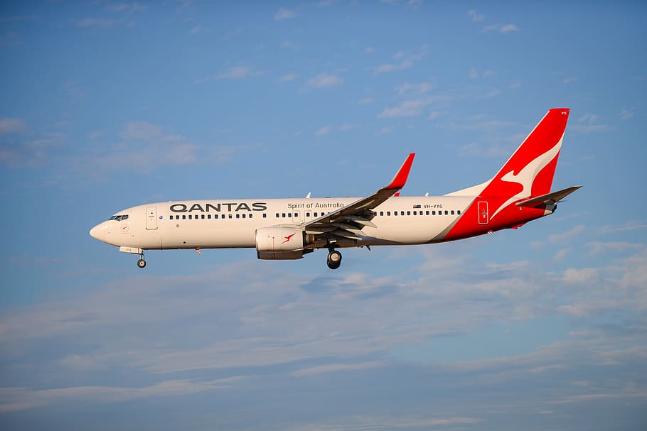 avión, aterrizaje, qantas, australiano, aeropuerto de melbourne, fling canguro, piloto, Vehículo aéreo, cielo, vuelo