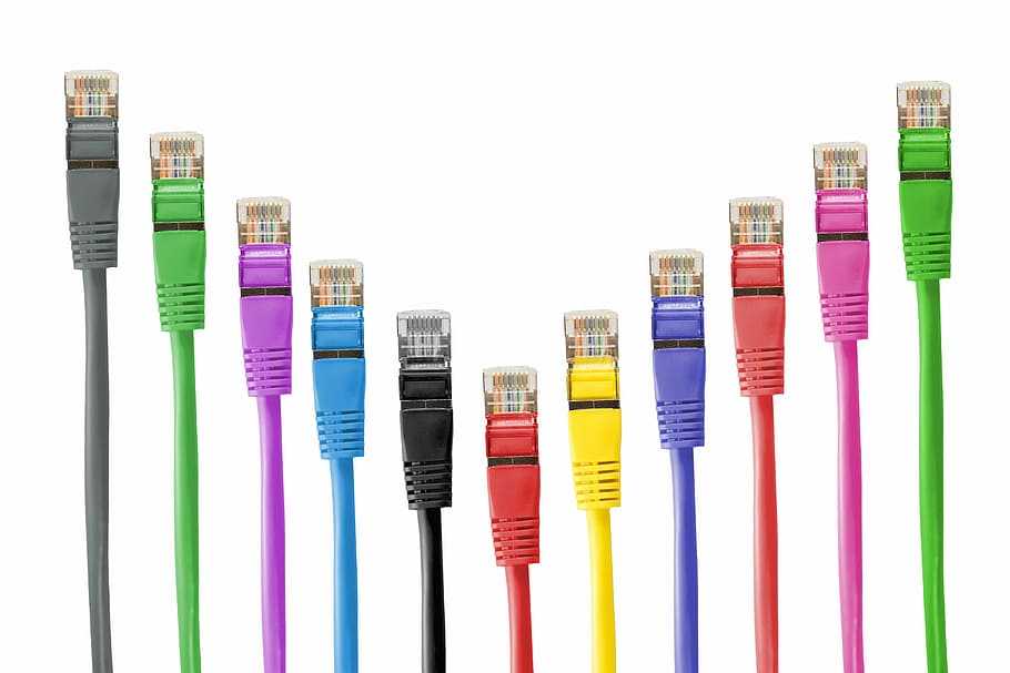 cables de colores variados, conector de red, cables de red, cable, parche, cable de conexión, rj, rj45, rj-45, red