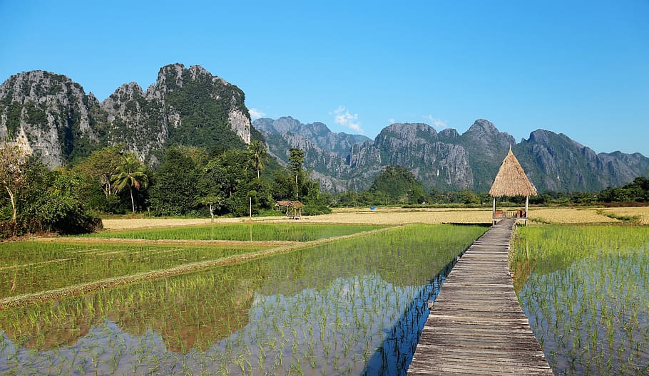 laos, vang vieng, popular hotels, vieng tara villa, the scenery, in rice field, mountain, water, sky, scenics - nature