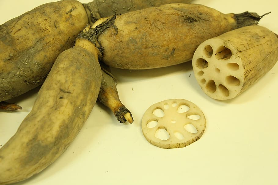 five, fruits, white, surface, lotus root, vegetables, food, hole, soil mechanics, food and drink
