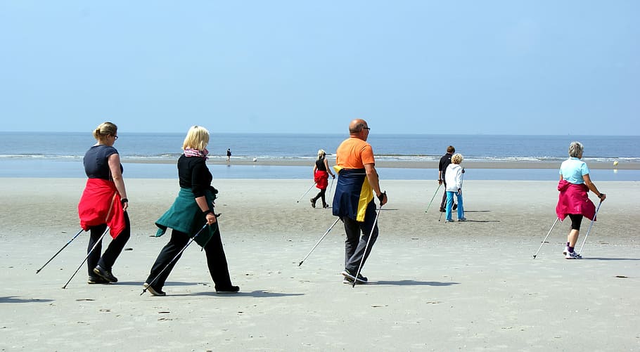 personas, tenencia, palos, caminar, hacia, mar, durante el día, Mar del Norte, reflujo, playa