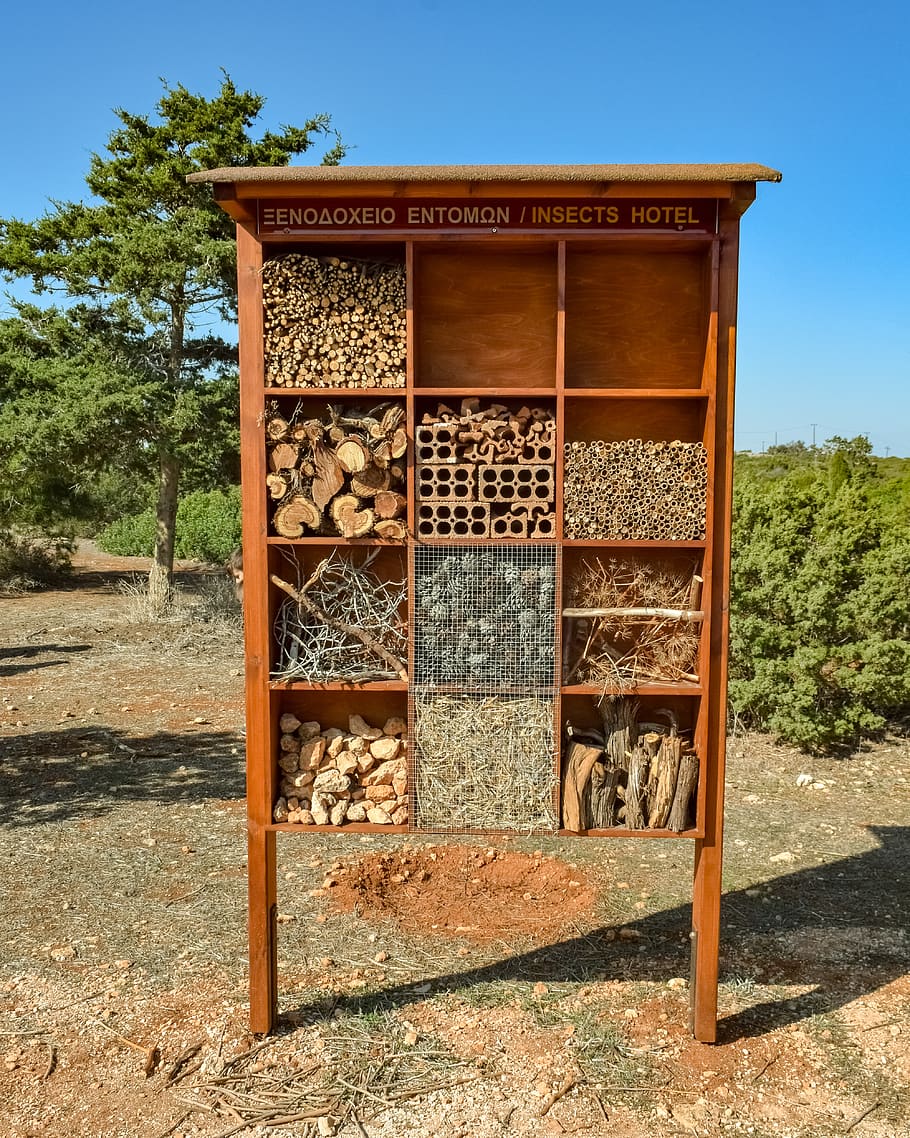 insects hotel, environmental centre, education, ecology, ecological, environment, national park, cavo greko, cyprus, day